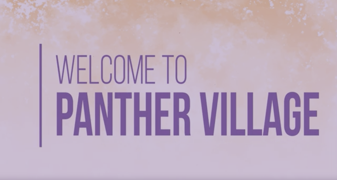 Welcome to Panther Village