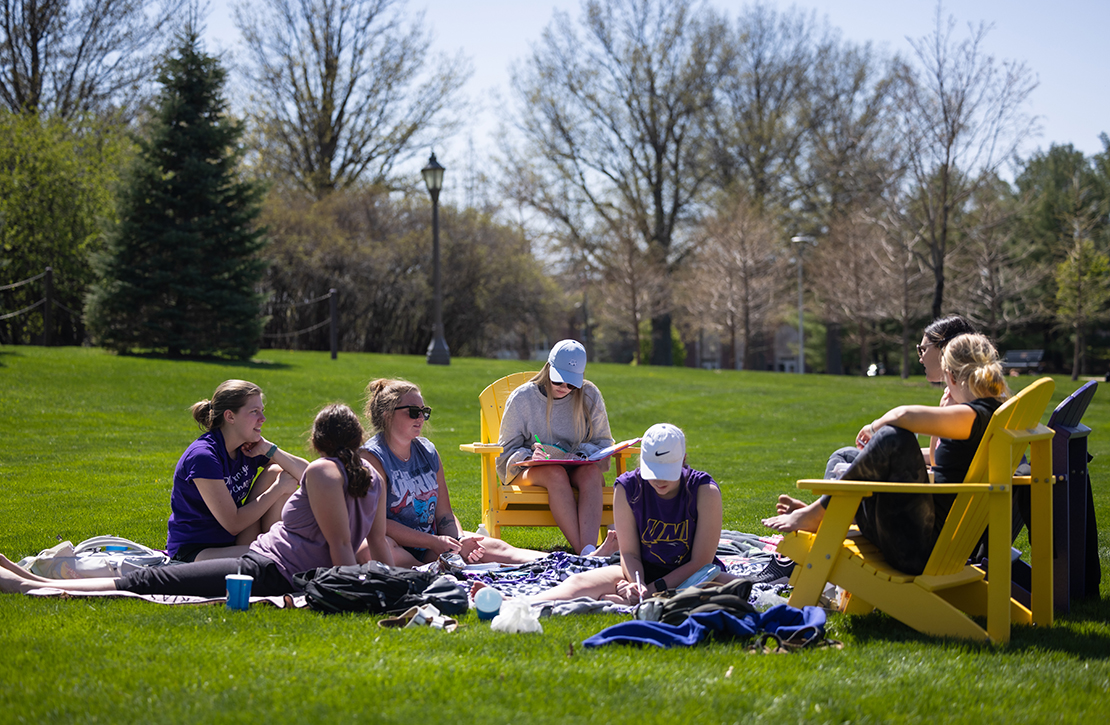 Students studying on the lawn